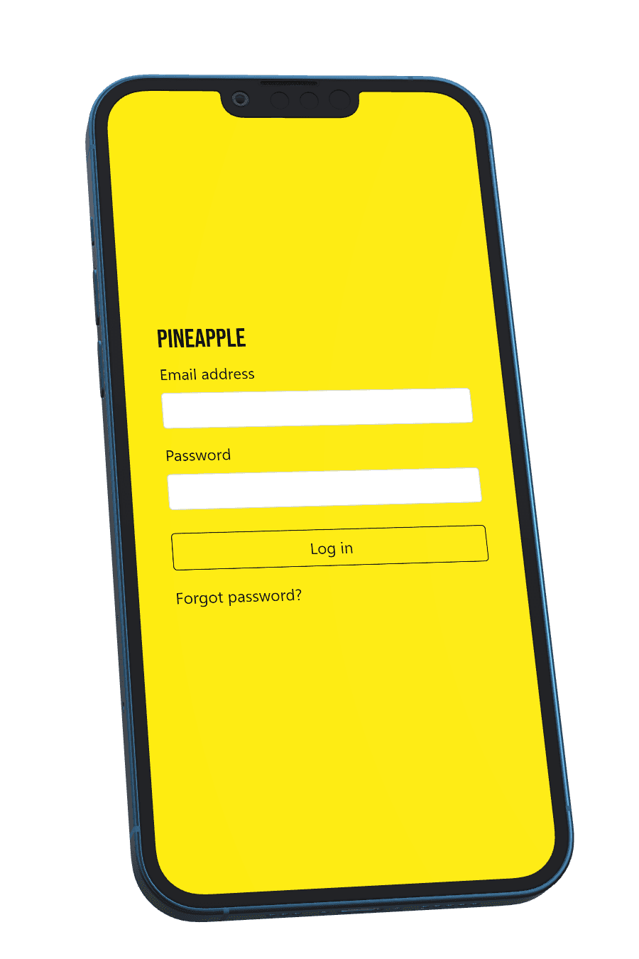 Log in screen on an iPhone 13